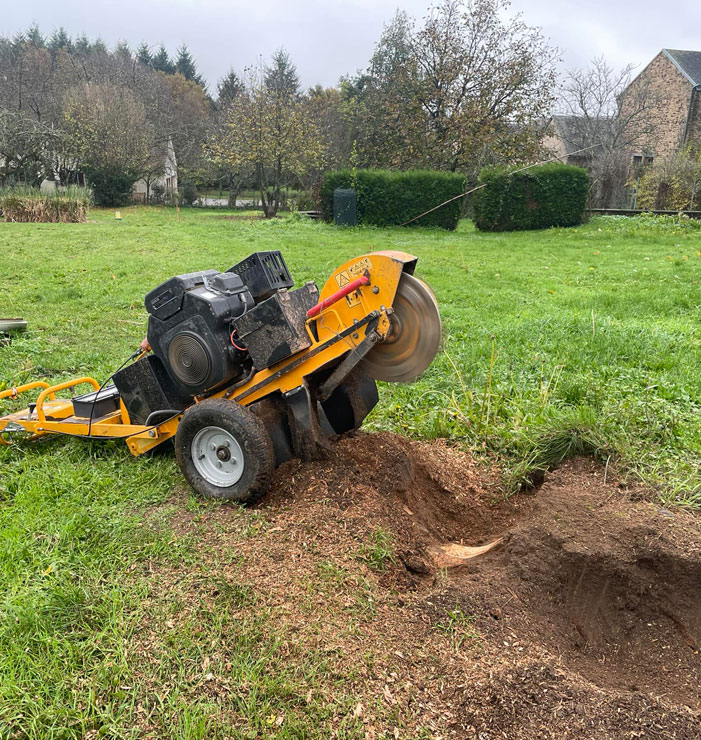 Création paysagère à Jumilhac-le-Grand
